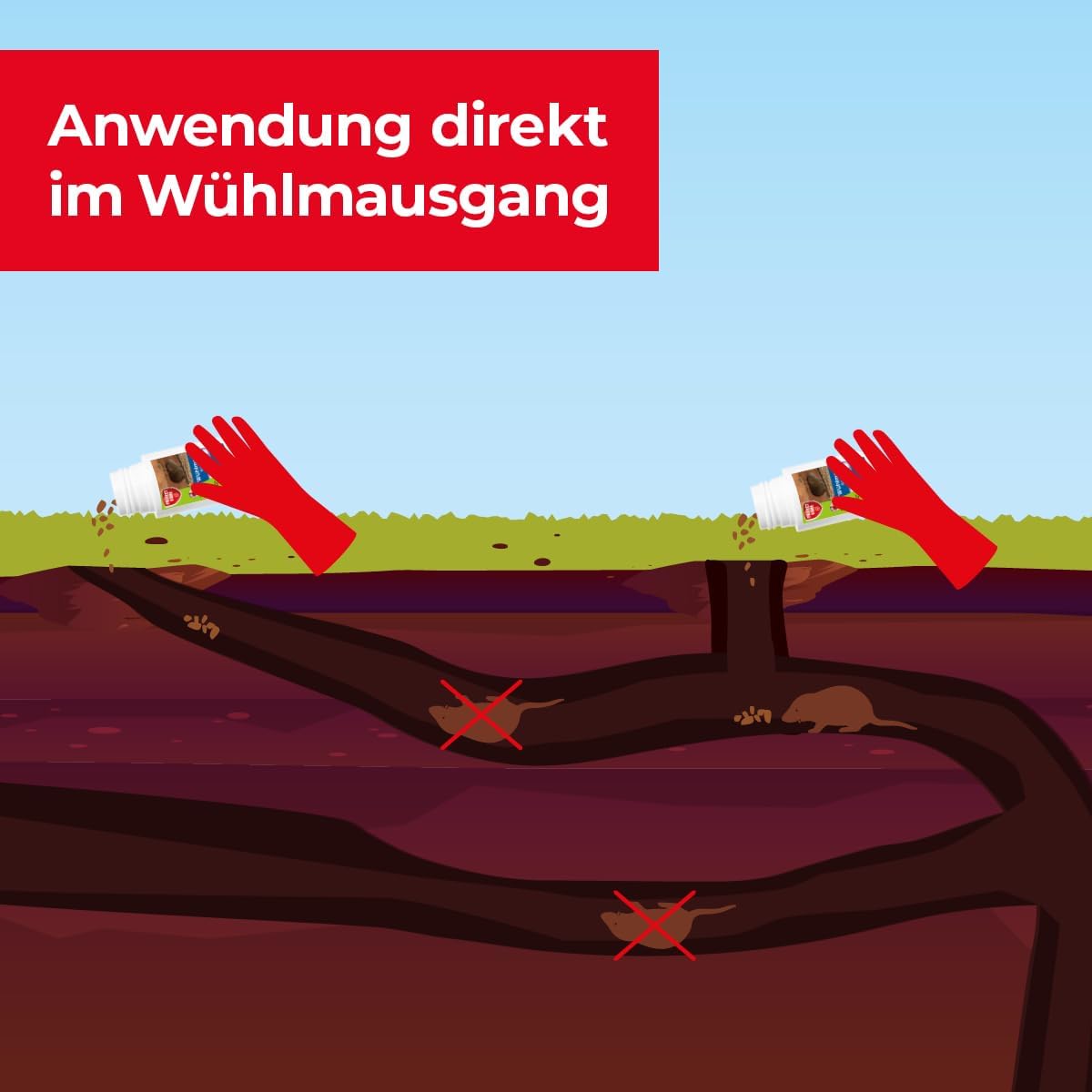 PROTECT HOME Wühlmaus-Köder