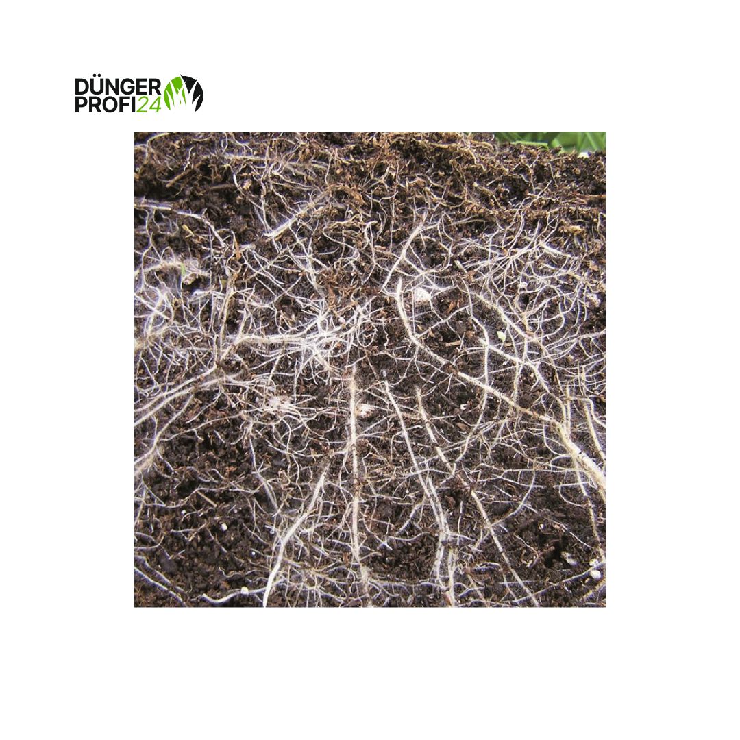 COMPO EXPERT TerraPlus® Bodenaktivator