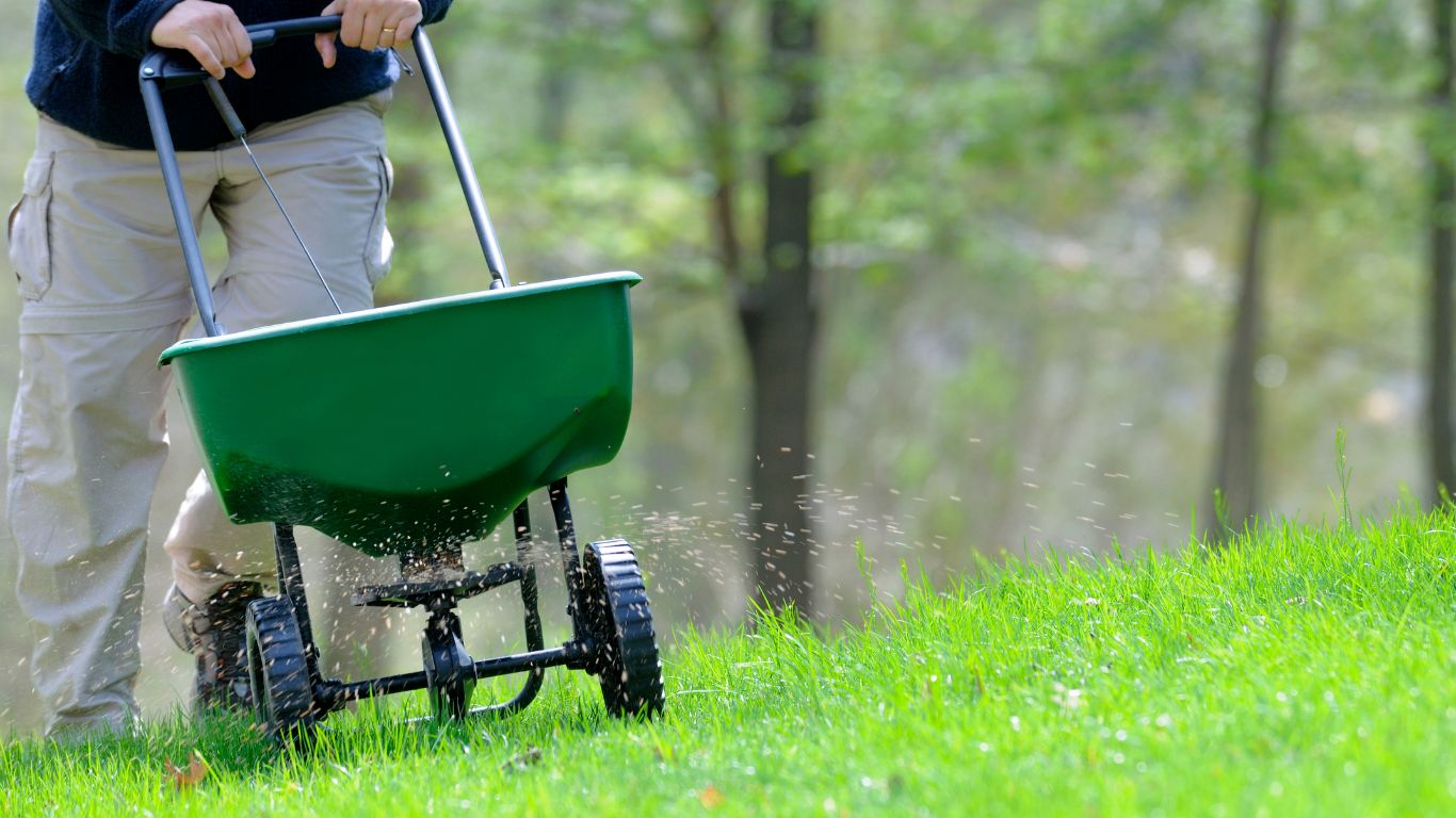 Rasendünger organisch