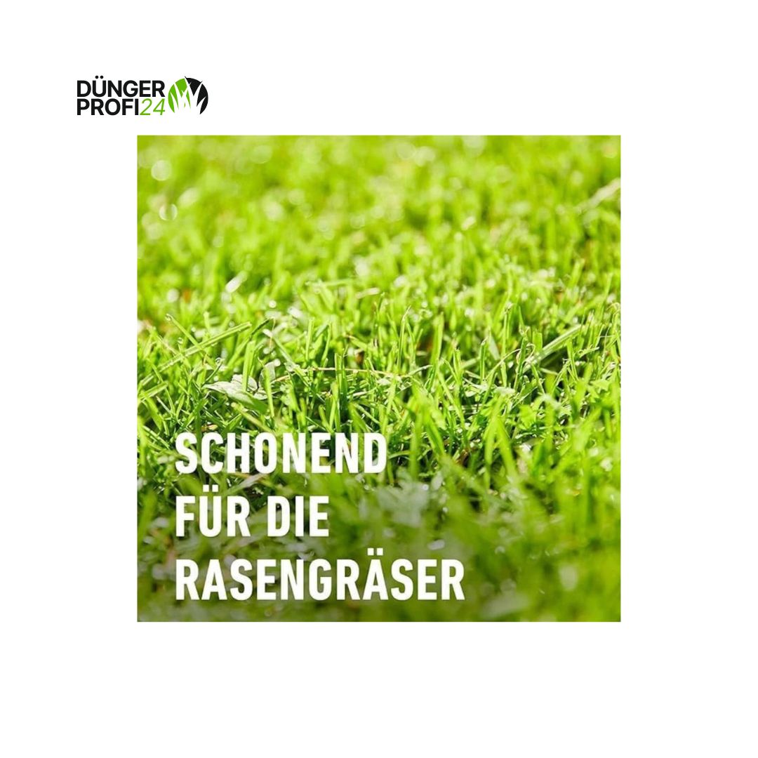 COMPO Rasenunkraut-Vernichter Banvel® Quattro