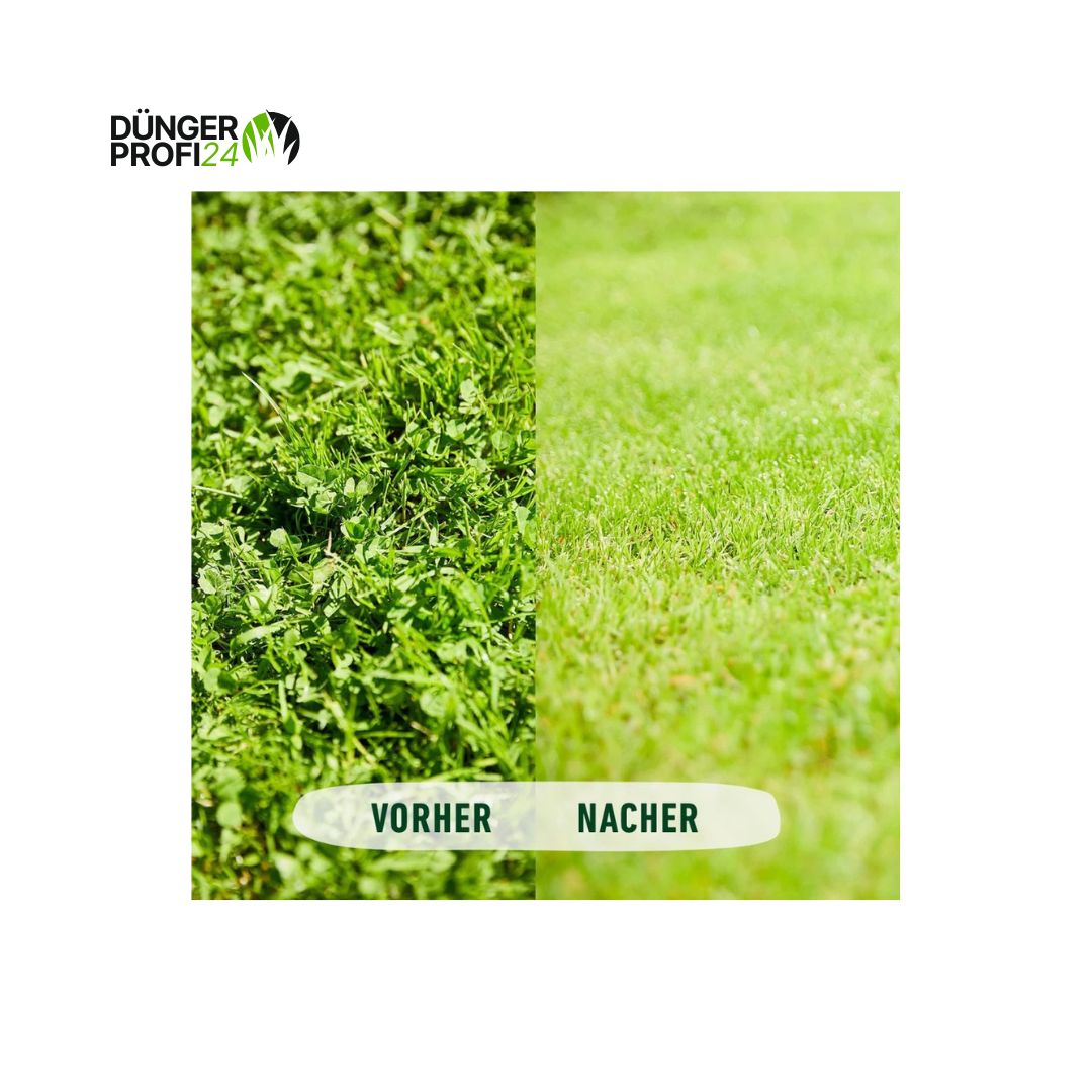 COMPO Rasenunkraut-Vernichter Banvel® Quattro