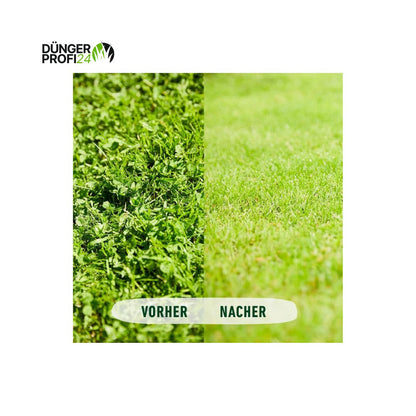 COMPO Rasenunkraut-Vernichter Banvel® Quattro