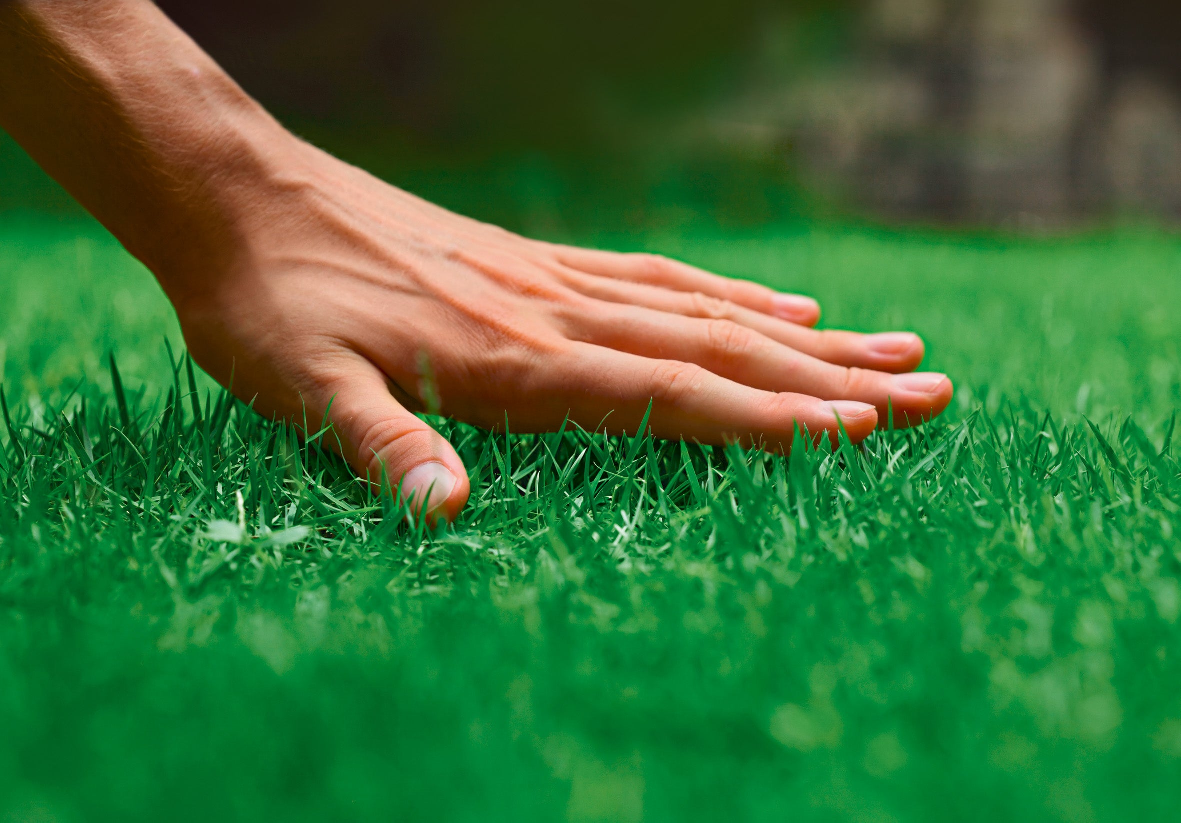 EuroGrass Rasen Reparatur