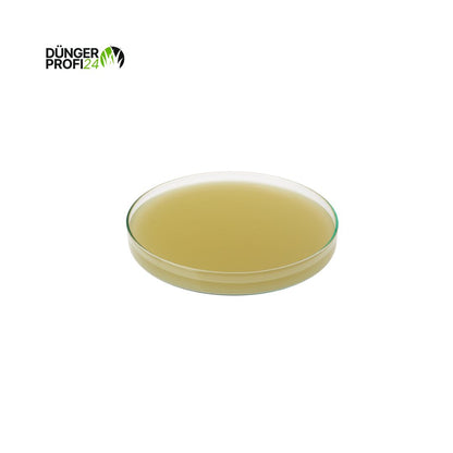 COMPO EXPERT Vitanica® RZ