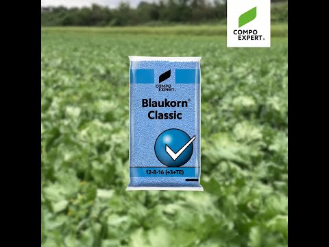 COMPO EXPERT Blaukorn® Classic