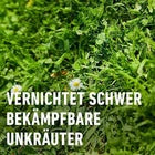 COMPO Rasenunkraut-Vernichter Banvel® Quattro