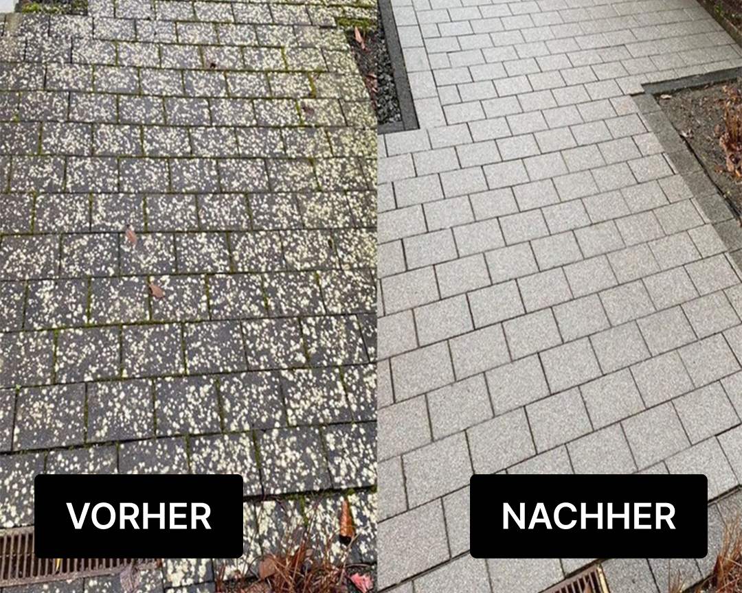 Reinex Algen-Frei & Steinreiniger Grünbelagentferner